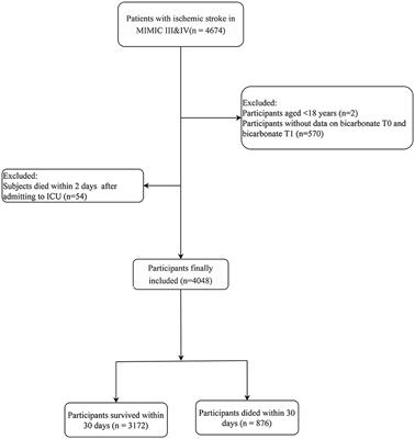 Relationship between serum bicarbonate levels and the risk of death within 30 days in ICU patients with acute ischemic stroke